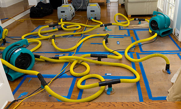 Professional Structural Drying And Dehumidification technician working in Manchester, OH